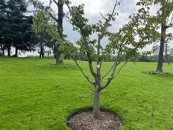 mk网页版入口 -N犣u⑶娓褚?嚶{俞孞6